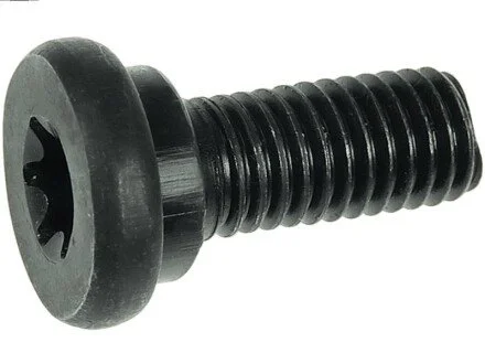 Болт з головкою системи TORX з чорного металу для AS SRS3060S фото товара