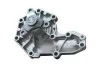 <strong>Водяний насос Kangoo/Master/Movano/Clio/Megane 1.7i/1.9D/dTi/2.0i 96- ASAM 30232 (фото 1)</strong>