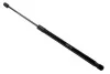 <strong>Амортизатор багажника Duster 10- ASAM 30467 (фото 1)</strong>