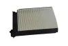 <strong>Фільтр салону Clio/Logan/Modus/Duster/Sandero 08- ASAM 30520 (фото 1)</strong>