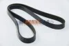 <strong>Ремінь генератора Duster/Megane/Kangoo 0.9-1.2 12- ASAM 55987 (фото 1)</strong>