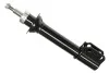 <strong>Амортизатор передній Megane 96-03/Scenic 99-03 ASAM 70413 (фото 1)</strong>