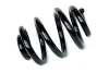 <strong>Пружина задня VW T5 Asam ASAM 72911 (фото 1)</strong>