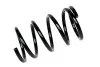 <strong>Пружина задня Toyota Rav 4 II Asam ASAM 75432 (фото 1)</strong>