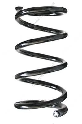 <strong>TOYOTA Пружина задняя L=259mm Rav 4 I 94-00 ASAM 75441 (фото 1)</strong>