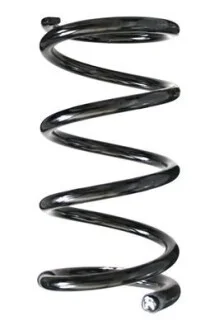 TOYOTA Пружина задняя L=259mm Rav 4 I 94-00 для Toyota ASAM 75441 фото товару