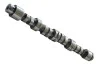 <strong>Розподільний вал Renault Logan, Sandero 1.4i (04-) Asam ASAM 80099 (фото 1)</strong>