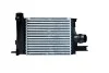 <strong>Радиатор интеркулера Renault Logan, Clio, Sandero 0.9i (12-) Asam ASAM 80261 (фото 1)</strong>