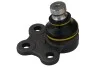 <strong>Опора кульова Kangoo 08- Л. ASAM 80797 (фото 1)</strong>