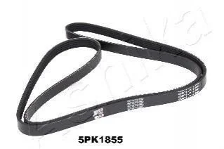 Ремінь поліклиновий для BMW, KIA, Hyundai ASHIKA 112-5PK1855 фото товару