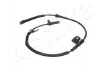 <strong>Датчик ABS ASHIKA 151-0K-K35 (фото 3)</strong>