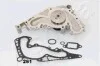 <strong>Водяна помпа Toyota Land Cruiser 100 4.7 V8 32V, 4.7 01.98- ASHIKA 35-02-261 (фото 2)</strong>