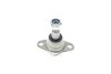<strong>Опора кульова (передня/знизу) BMW X3 (E83) xDrive 4x4 06- ASMETAL 10BM2810 (фото 5)</strong>