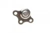 <strong>Опора кульова Citroen C3 02- ASMETAL 10CT0600 (фото 3)</strong>