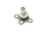 <strong>Опора кульова Citroen C3 02- ASMETAL 10CT0600 (фото 4)</strong>