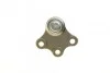 <strong>Опора кульова Citroen C3 09- Л./Пр. ASMETAL 10CT0610 (фото 3)</strong>