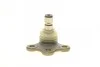 <strong>Опора кульова Citroen C3 09- Л./Пр. ASMETAL 10CT0610 (фото 4)</strong>