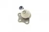 <strong>Опора кульова Doblo 02-10 (Ch №5023343-) ASMETAL 10FI5500 (фото 4)</strong>