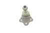 <strong>Опора шаровая Land Rover Freelander 2 06- ASMETAL 10LR2200 (фото 6)</strong>