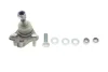 <strong>Опора кульова Toyota Corolla/Rav 4/Prius 92-06 ASMETAL 10TY0206 (фото 1)</strong>