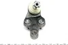 <strong>Опора кульова Toyota Camry 01-11/Lexus RX 03-08 Пр. ASMETAL 10TY1011 (фото 2)</strong>