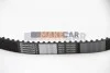 <strong>Комплект ГРМ 1.6 Clio/Megane/Scenic 05- (рем. Conti CT1179) AUTLOG ZK1033 (фото 2)</strong>