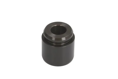 Поршень супорта гальмівного для Audi, Volkswagen, Nissan AUTOFREN D025366 фото товару