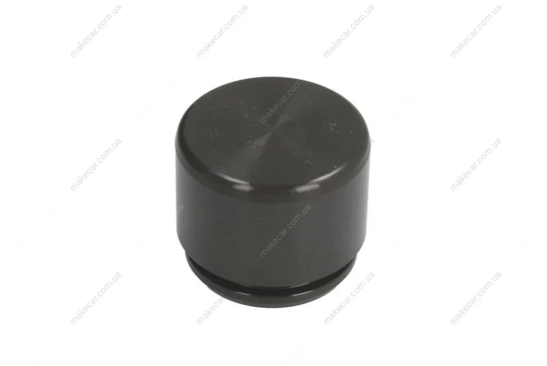 <strong>Поршеня супорта перед Audi A6/Q7/Touareg 02-10 38x31,6 SEINSA AUTOFREN D025368 (фото 1)</strong>