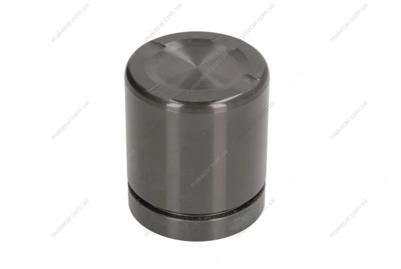 <strong>Поршенек суппорта зад BMW X5/X6 07- 43,95x50,55 SEINSA AUTOFREN D025553 (фото 1)</strong>