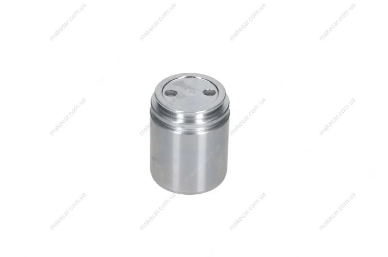 <strong>Поршеня супорта зад Vectra C 40x49,85 SEINSA AUTOFREN D025558 (фото 1)</strong>