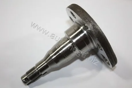 Цапфа VAG для AUTOMEGA 105010117333A фото товара