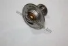 <strong>Термостат Ford Transit 100/120/1 AUTOMEGA 160028210 (фото 1)</strong>