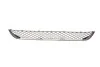 <strong>Решетка бампера переднего Mercedes Benz Sprinter W906 AUTOTECHTEILE 100 8892 (фото 1)</strong>