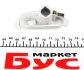 <strong>Повторювач поворотів на крилі Renault Dokker 12- (R) AUTOTECHTEILE 503 0262 (фото 4)</strong>