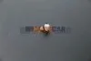 <strong>Кліпса кріплення обшивки Renault Kangoo AUTOTECHTEILE 505 0515 (фото 1)</strong>