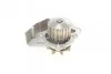 <strong>Водяний насос Scudo/Jumpy/Berlingo/Expert/Ducato 1.9D/2.0HDi 98- AUTOTECHTEILE 508 0106 (фото 3)</strong>