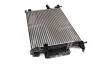 <strong>Радіатор охолодження двигуна FORD C-MAX /FOCUS III (10-) (Ava) AVA COOLING FD2643 (фото 1)</strong>