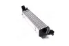 <strong>Інтеркулер H1 2.5 CRDi MT/5 (Ava) AVA COOLING HY4489 (фото 1)</strong>