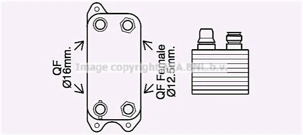 <strong>Охолоджувач оливи AVA COOLING MS3686 (фото 1)</strong>