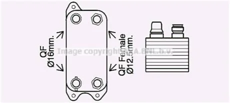 Охолоджувач оливи для Mercedes AVA COOLING MS3686 фото товару