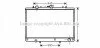 <strong>AVA MITSUBISHI Радіатор сист. охолодження двиг. L200 2.5D 96- AVA COOLING MT2188 (фото 1)</strong>
