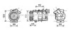 <strong>Компресор RENAULT MEGANE 2.0i/SCENIC 1.9DCi (AVA) AVA COOLING RTAK492 (фото 1)</strong>