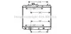 <strong>AVA OPEL Радіатор системи охолодження двигуна AGILA (B) 08-, SUZUKI AVA COOLING SZ2111 (фото 1)</strong>