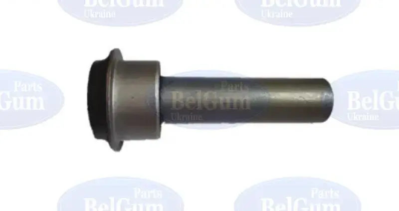 <strong>Сайлентблок передньої балки Nissan Qashqai 07- BELGUM PARTS BG0409 (фото 1)</strong>