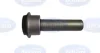 <strong>Сайлентблок передньої балки Nissan Qashqai 07- BELGUM PARTS BG0409 (фото 1)</strong>