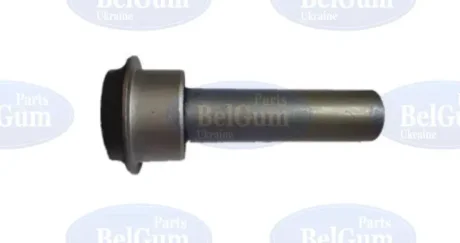 Сайлентблок передньої балки Nissan Qashqai 07- для Nissan BELGUM PARTS BG0409 фото товара