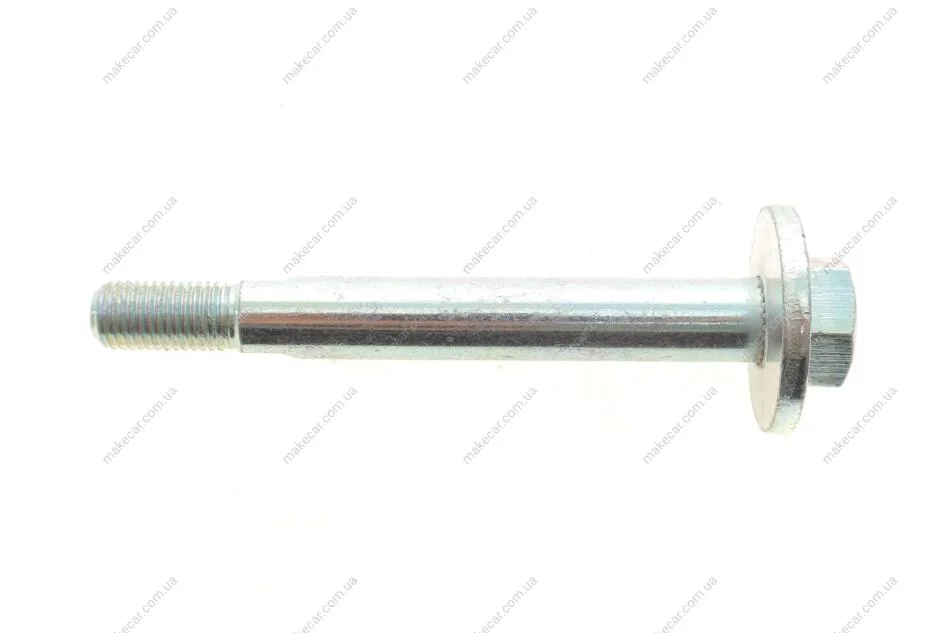 <strong>Болт з ексцентриком BELGUM PARTS BG2009 (фото 1)</strong>