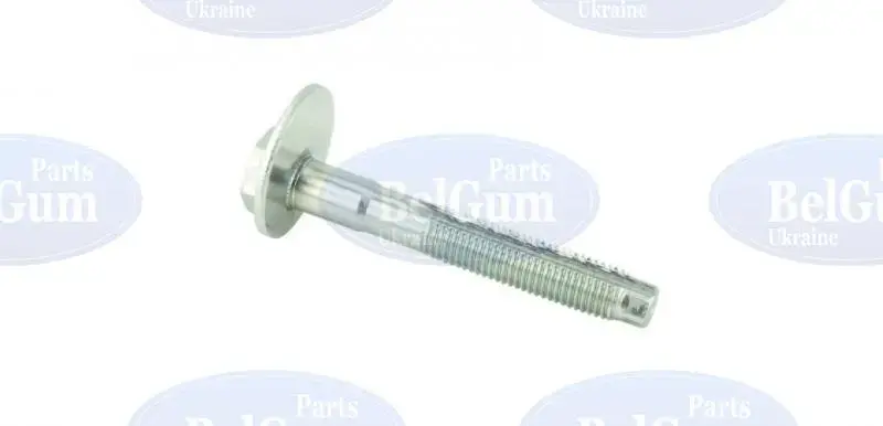 <strong>Болт з ексцентриком BELGUM PARTS BG2018 (фото 1)</strong>