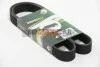 <strong>Ремінь генератора 7PK1103 Master/Movano 2.5dCi 00- (-AC) BGA 7PK1104 (фото 3)</strong>