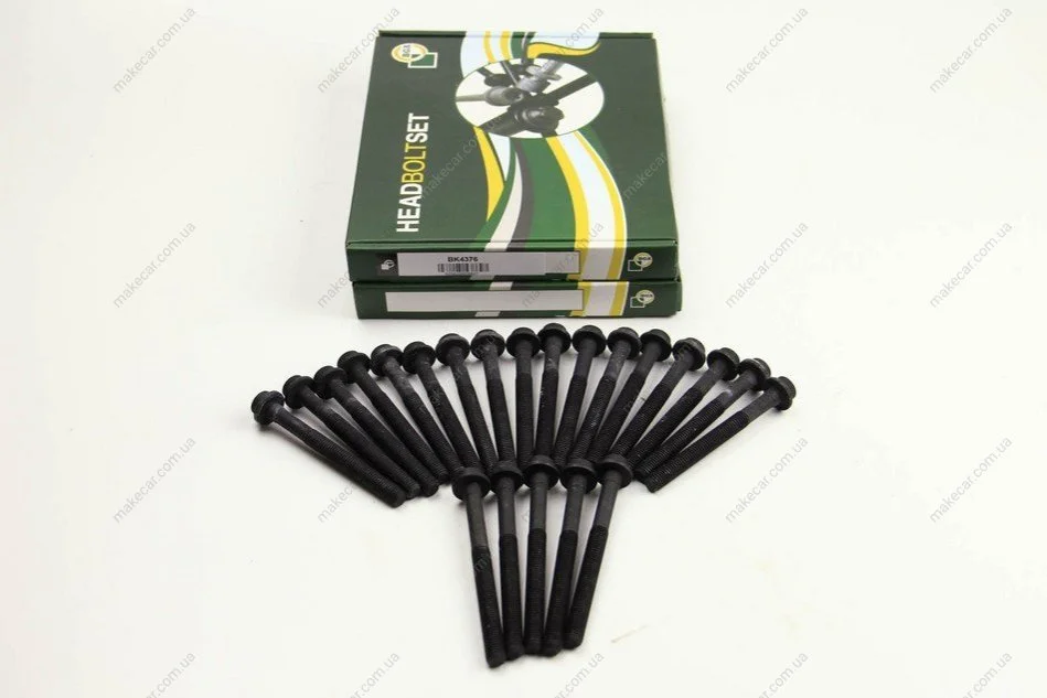 <strong>Комплект болтів двигуна з фігурною головкою BGA BK4376 (фото 1)</strong>